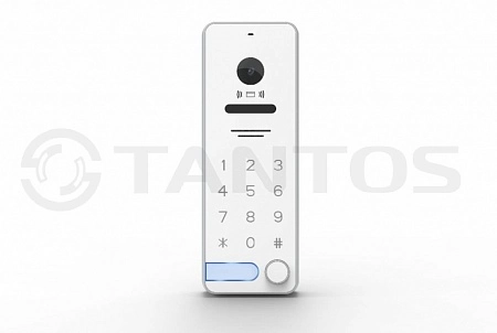 Tantos iPanel 2 WG EM KBD HD (White) Вызывная панель видеодомофона